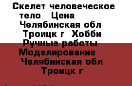 Скелет человеческое тело › Цена ­ 5 000 - Челябинская обл., Троицк г. Хобби. Ручные работы » Моделирование   . Челябинская обл.,Троицк г.